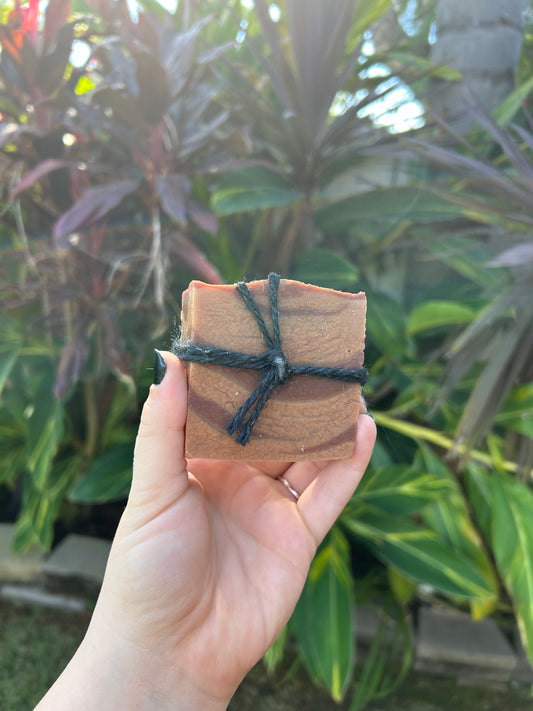 Autumn Equinox Soap ( Pumpkin & Cinnamon)